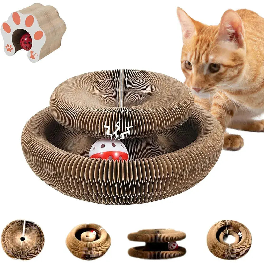 Griffoir Pour Chat Intéractif Cat-Market