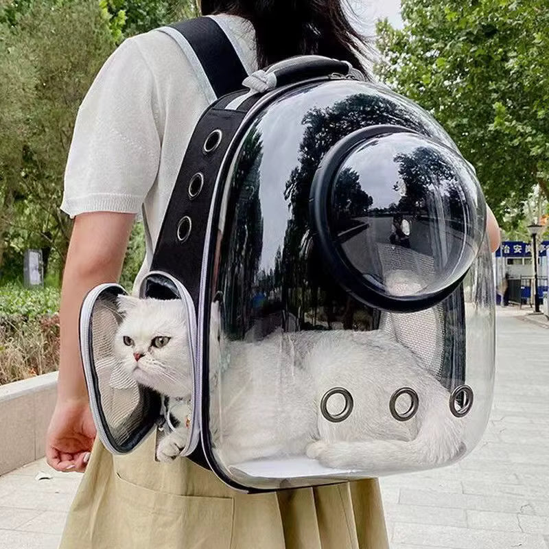 Sac à dos Cat-Market