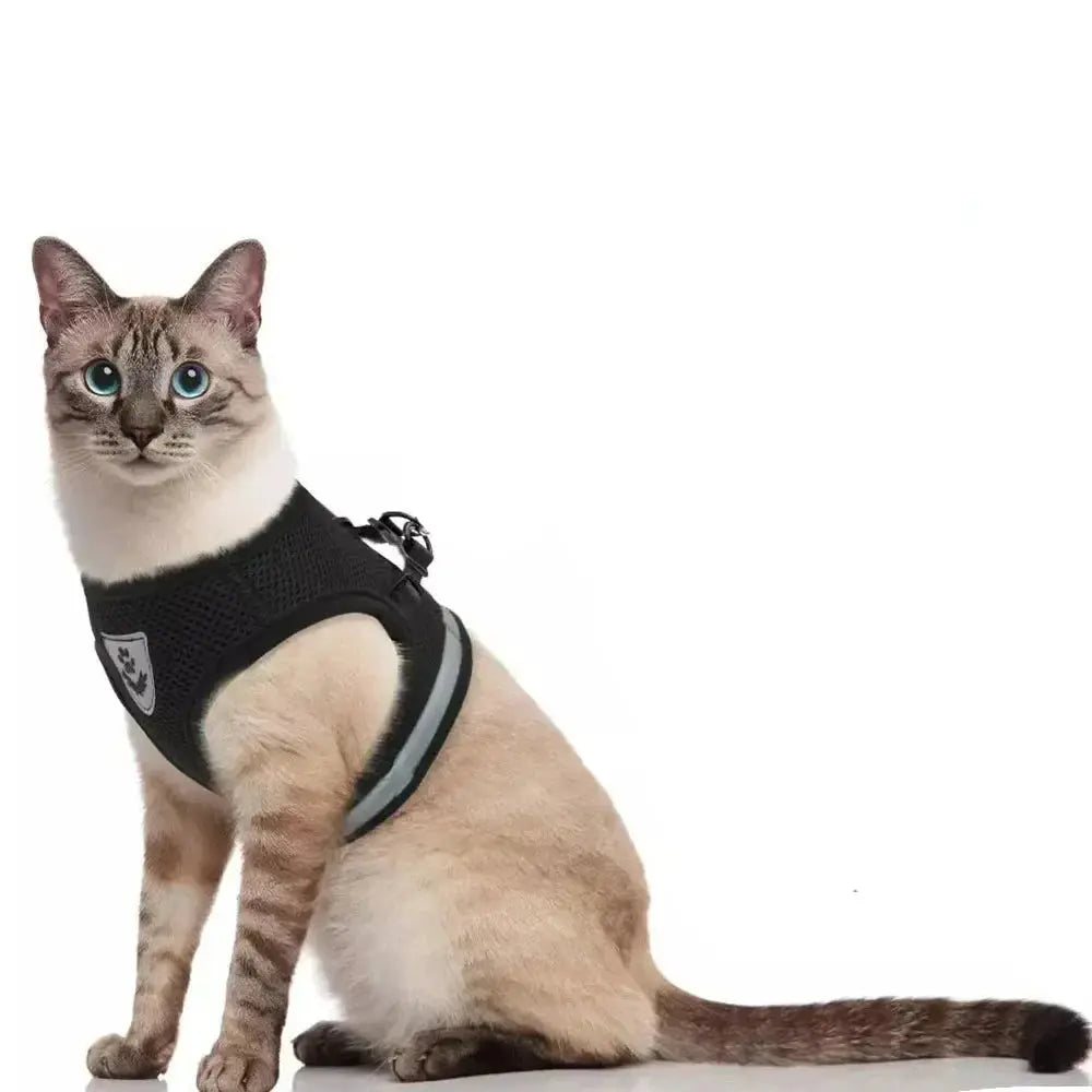Harnais Pour Chat Cat-Market