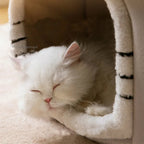 Maison Pour Chat Cat-Market