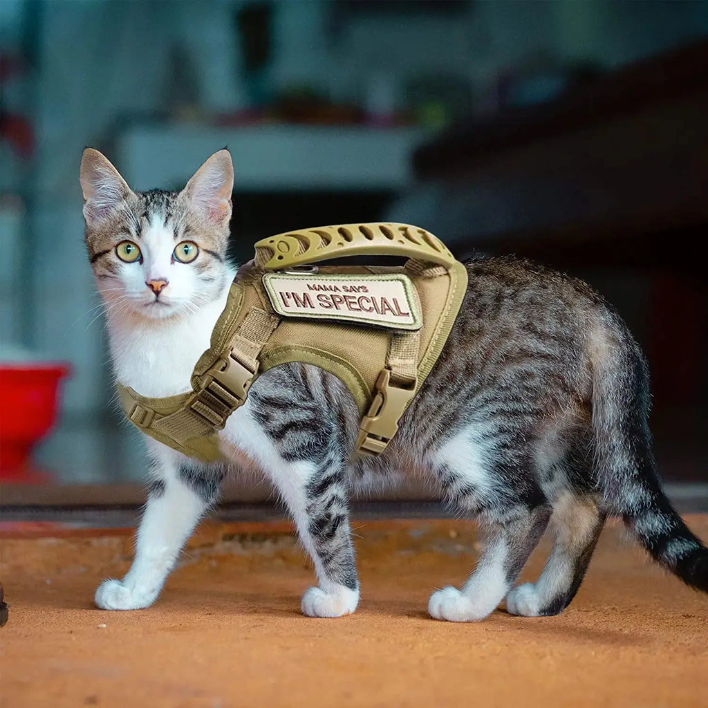 Harnais "Commando" Cat-Market