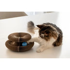 Griffoir Pour Chat Intéractif Cat-Market